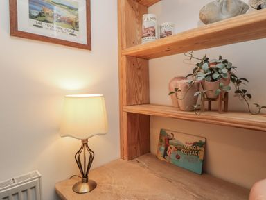 A corner with a lamp, shelves, and plants at 21 High Street, Scarborough