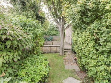 A garden pathway with hedges and a tree at 21 High Street Scarborough