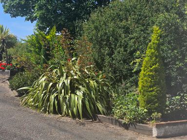 A garden with various plants and a pathway at Ty Nain in Bethel