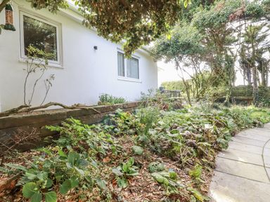A garden with plants and a pathway at Hillbre in Trevone