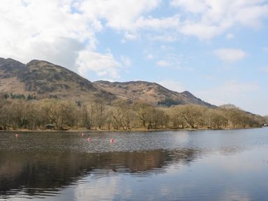 A lake with mountains and trees under a blue sky at Altair Lodge