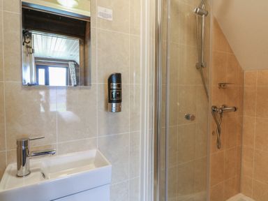 A bathroom with a wash basin and a shower at Garden lodge 3 Swansea
