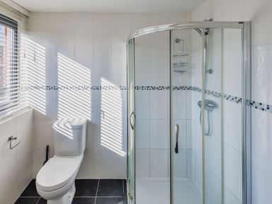 A bathroom with a shower and toilet at Nan's House Spa, Marhamchurch