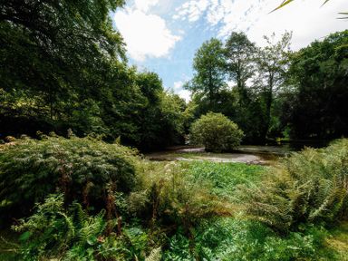 Property photo 55 of 60