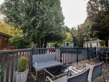 A deck area with seating and surrounding trees at Evermore Lodge, 48 Calgarth Park, White Cross Bay, Windermere