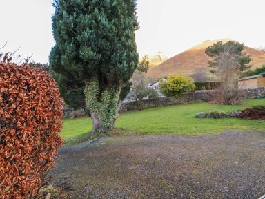 An outdoor area with a tree and a bush at Westerlodge Threlkeld near Keswick