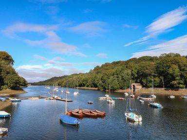 A view of boats on water with trees and a dock at Woodlands View in Leek