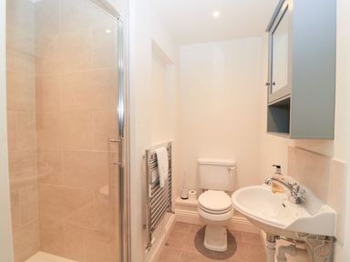 A bathroom with a shower, toilet, and sink at Woodcock Studio in Andoversford near Cheltenham