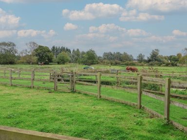 An outdoor area with a fence, grass, horse, and trees at Duchess Cottage in Woodbridge
