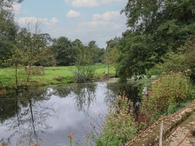 A river with trees and grass near it at Duchess Cottage in Woodbridge