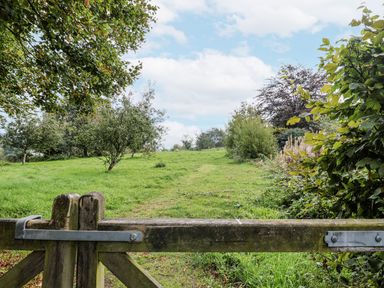 A gate opening to a grassy area with trees at Rushmoor Cottage in Colaton Raleigh