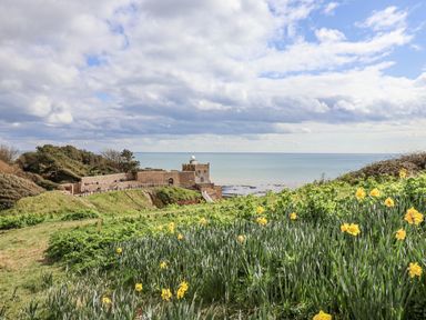 A view of the sea and a building surrounded by flowers at Rushmoor Cottage in Colaton Raleigh