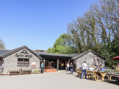 A farm shop with outdoor seating and people at Rushmoor Cottage in Colaton Raleigh