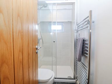 A bathroom with a shower and toilet at Gilfach Goed Abersoch