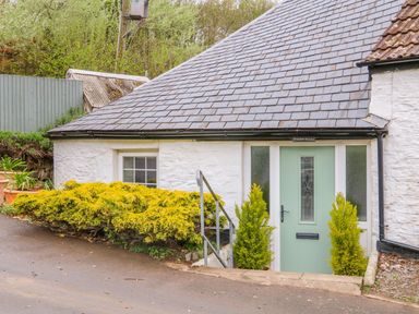 An entrance with a green door and shrubs at Round Barn in Ilfracombe