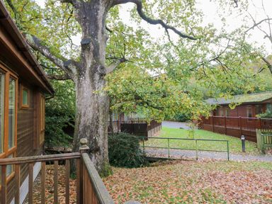 Property photo 3 of 46