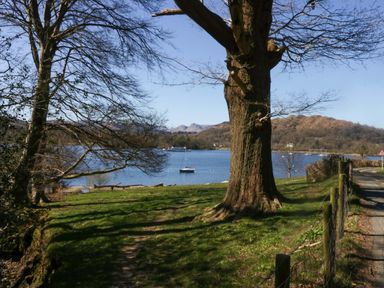 A lakeside view with a tree and mountains at 5 Waterside Wood Troutbeck Bridge