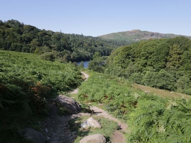A path leading through ferns with a view of a lake and hills at 5 Waterside Wood Troutbeck Bridge