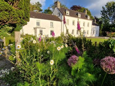 A house with flowers and a garden at Secret Garden Cottage Ciliau Aeron near Aberaeron