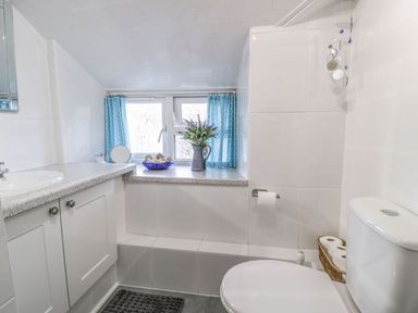 A bathroom featuring a sink, toilet, window, and vase at Noddfa Penmachno