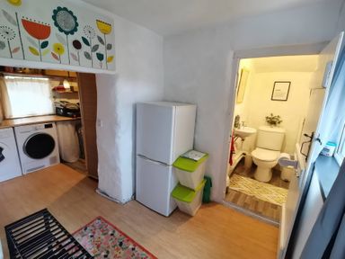 A kitchen and bathroom area with appliances at Noddfa in Penmachno
