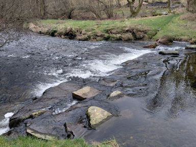 A stream with rocks and grass at Noddfa in Penmachno