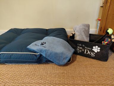 A dog bed with a blanket and a basket of toys at Noddfa, Penmachno