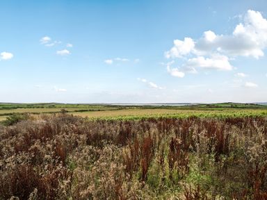 A landscape view with grass and shrubs at 2 Trem Y Mor Llanfwrog near Llanfachraeth