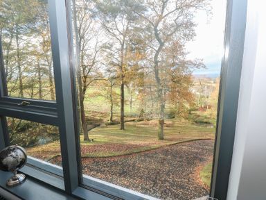 A view of trees and a pathway outside a window at Chapel Hill in Catlowdy