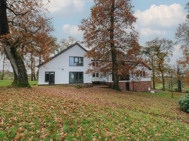 A house surrounded by trees and leaves at Chapel Hill in Catlowdy