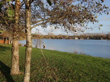 An outdoor view of a lake with trees and wooden cabins at Bluebell Lodge Warton