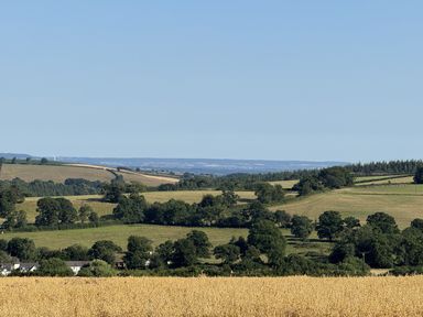 A view of fields and trees at The Bus on the Hill in Huntsham near Bampton, Devon