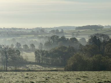 A view of misty fields and trees at The Bus on the Hill in Huntsham near Bampton, Devon