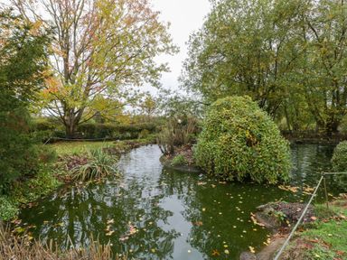 A garden with a pond surrounded by greenery at Orchard Cottage in Corse near Gloucester