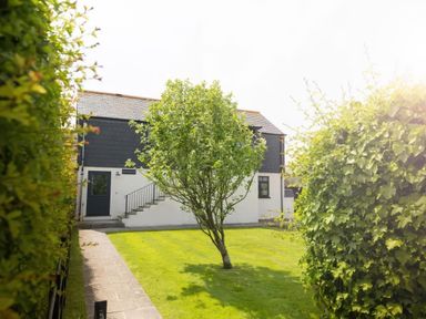 An outdoor area with a tree and steps at The Granary near St Merryn