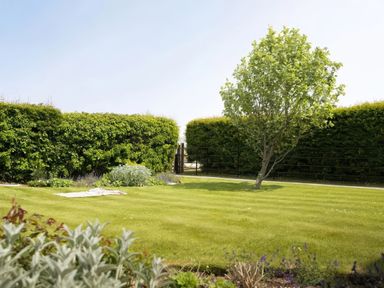 A garden with a tree and hedges at The Granary, Engollan near St Merryn