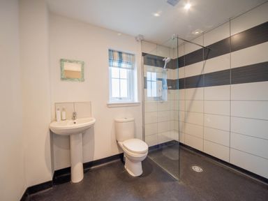 A bathroom with a shower, toilet, and washbasin at 