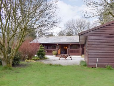 A cabin with outdoor furniture and garden at Gisburn Forest Lodge