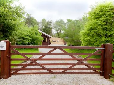 A gate leading to a cabin with trees and gravel driveway at Gisburn Forest Lodge