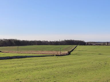 A field with power lines and trees at Harry's Cottage in Embleton