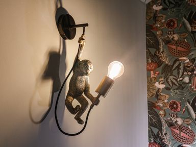 A monkey-shaped light fixture on a wall at Unit 1 in Ipswich