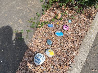Painted rocks on gravel at 89 Tangfish Way Exmouth