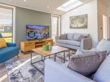 A living room with a sofa and tv at Isca Lodge - With Decking - Lodge 1 Wombleton