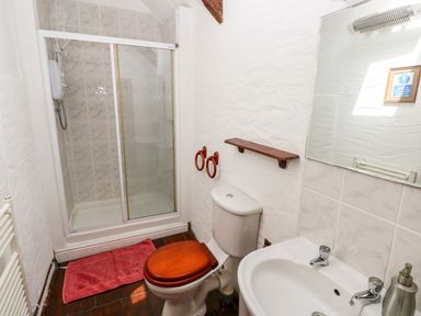 A bathroom with a shower, toilet, and sink at Ty Fferm in Newport