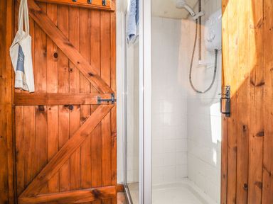 A bathroom with a shower and wooden door at Ty Felin in Newport