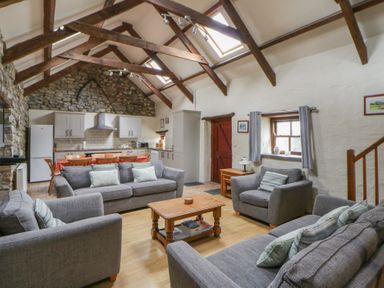 A living room with a sofa and kitchen area at Ty Felin in Newport, Pembrokeshire