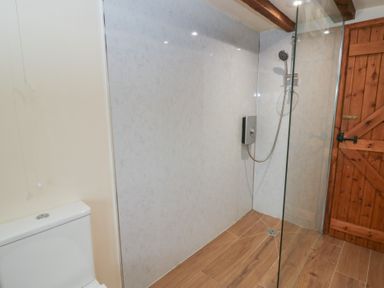 A bathroom with a shower and toilet at Ty Felin in Newport, Pembrokeshire