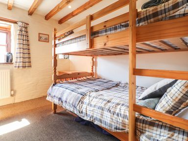 A bedroom with a bunk bed and a window at Ty Gwartheg in Newport