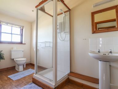 A bathroom with a shower, toilet, and sink at Ty Gwartheg, Newport