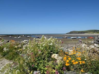 A beach with flowers and boats at Ty Cariad in Newport